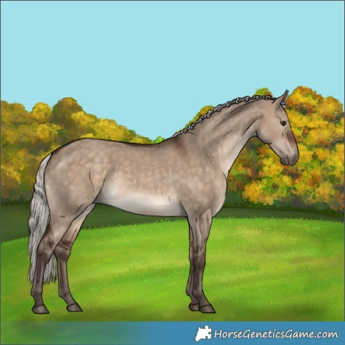 Horse Color:Silver Brown Dun 