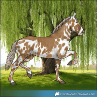 Horse Color:Chocolate Palomino Dun Skewed LP Spotted 