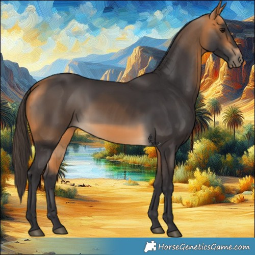 Horse Color:Buckskin 