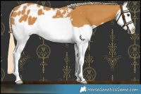 Horse Color:Palomino Splash Blanket