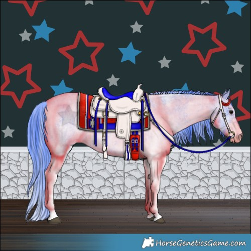 Horse Color:Watercolor White Spotted Blue Roan 