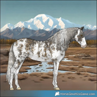 Horse Color:Silver Buckskin Sabino Rabicano