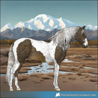 Horse Color:Silver Buckskin Tobiano