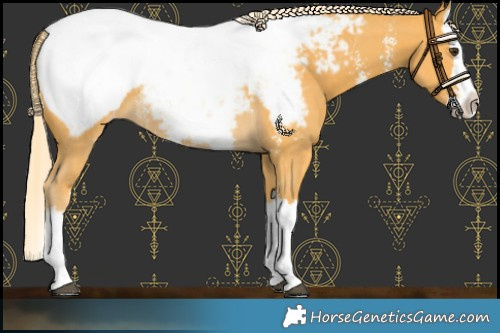 Horse Color:Palomino Sabino Splash Snowcap Rabicano 