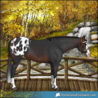 Horse Color:Brown Splash Blanket