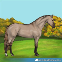 Horse Color:Liver Red Dun 
