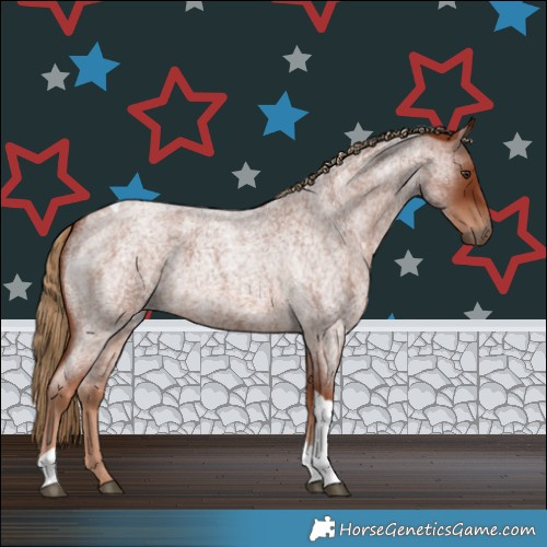 Horse Color:Red Roan Tobiano 