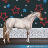 Horse Color:Red Roan Tobiano