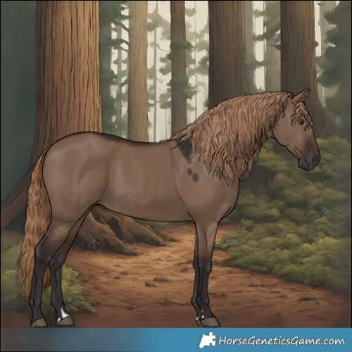Horse Color:Liver Red Dun 