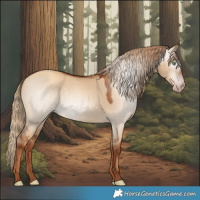 Horse Color:Gray White Spotted Gold Champagne Dun 
