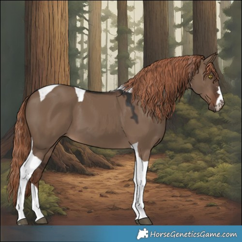 Horse Color:Liver Red Dun Tobiano 