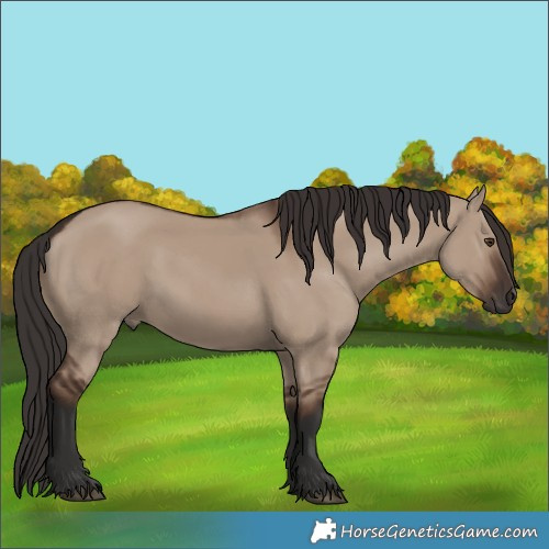 Horse Color:Liver Red Dun Rabicano 