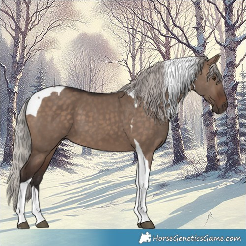 Horse Color:Silver Brown Dun Tobiano 