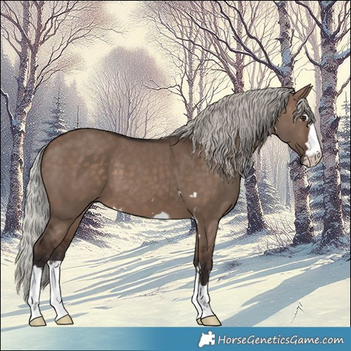 Horse Color:Silver Brown Dun and Silver Brown Dun