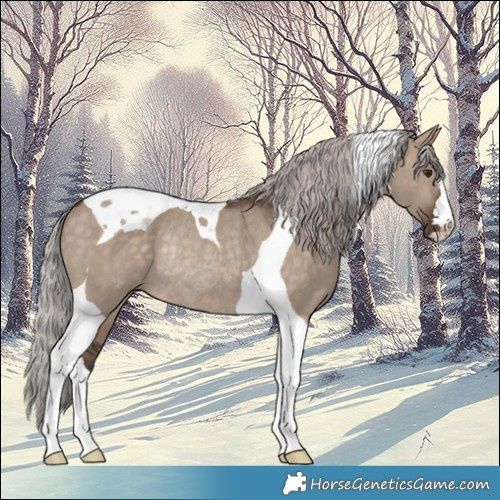 Horse Color:Silver Brown Dun Tobiano Rabicano 