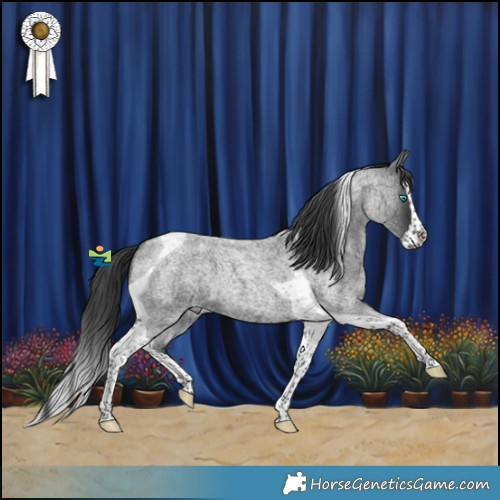 Horse Color:Blue Roan Splash Tobiano 