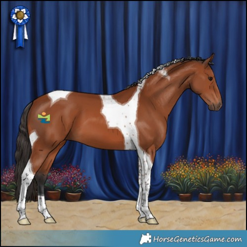 Horse Color:Bay Tobiano 