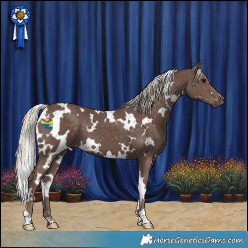 Horse Color:White Spotted Silver Black 
