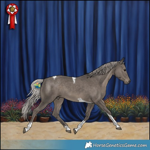 Horse Color:Silver Black Tobiano 