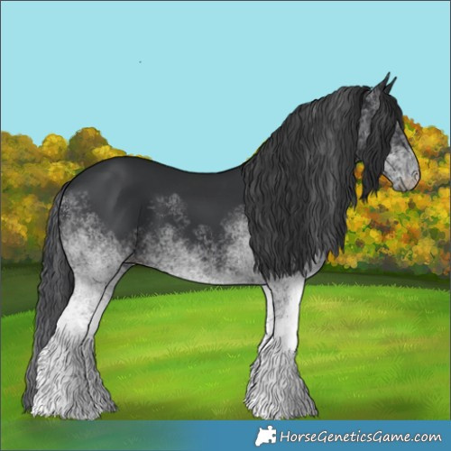 Horse Color:White Spotted Black 