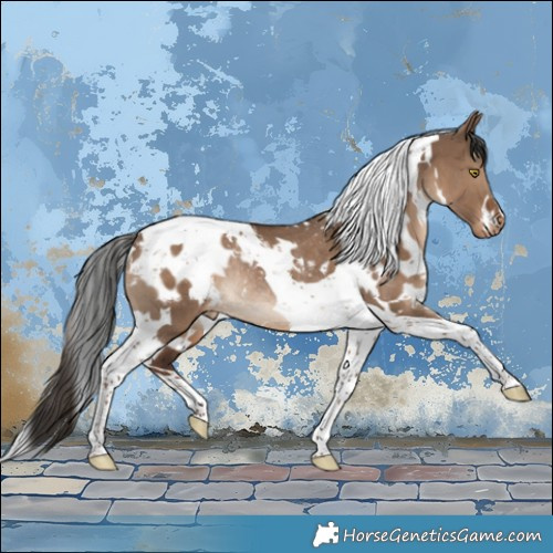 Horse Color:White Spotted Liver Red Dun Tobiano Appaloosa Rabicano 