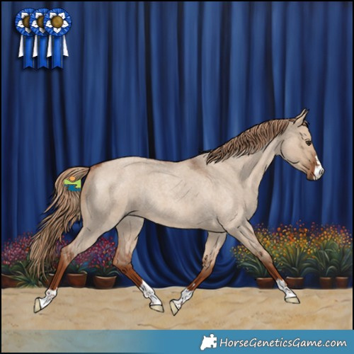 Horse Color:Red Dun Roan Rabicano 