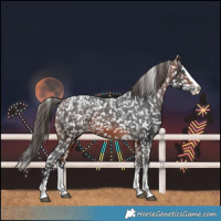 Horse Color:Powder White Bay Splash Snowflake Varnish 