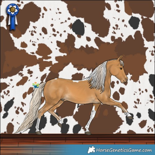 Horse Color:Palomino Tobiano Rabicano 