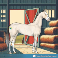 Horse Color:Buckskin Roan Splash
