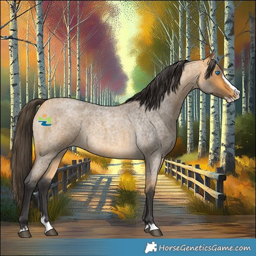 Horse Color:Buckskin Roan Splash 