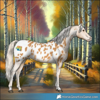 Horse Color:Palomino Near Leopard 