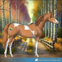 Horse Color:Chestnut Tobiano 
