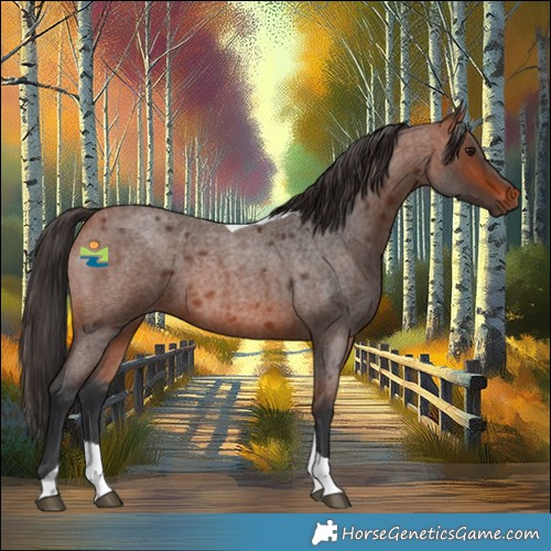 Horse Color:Bay Roan Tobiano