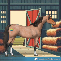 Horse Color:Bay Roan Tobiano