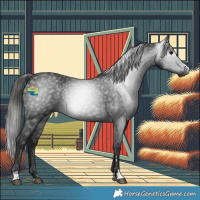 Horse Color:Gray Black 