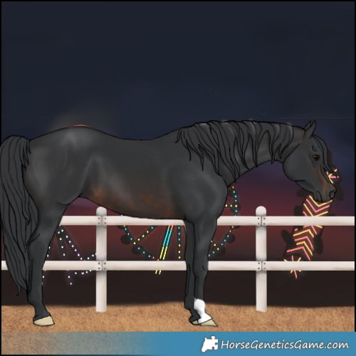 Horse Color:Brown 