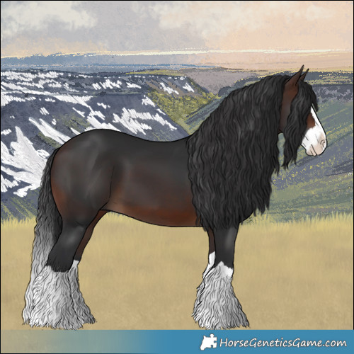 Horse Color:Brown Splash 