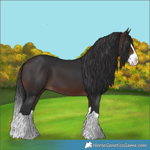 Horse Color:Brown Splash 