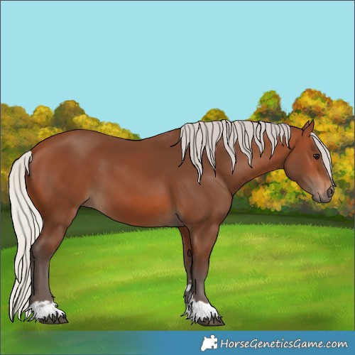 Horse Color:Silver Brown 
