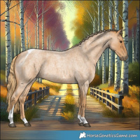 Horse Color:Red Roan Tobiano 