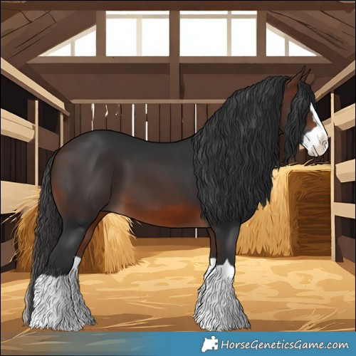 Horse Color:Brown Splash 