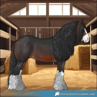 Horse Color:Brown Splash 