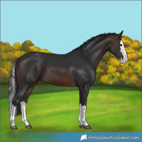 Horse Color:Brown Splash 