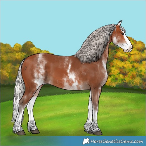 Horse Color:White Spotted Silver Bay Splash 