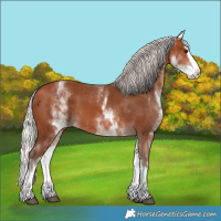 Horse Color:White Spotted Silver Bay Splash 