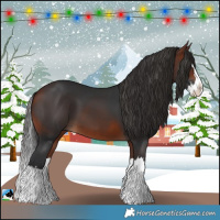 Horse Color:Bay Splash 