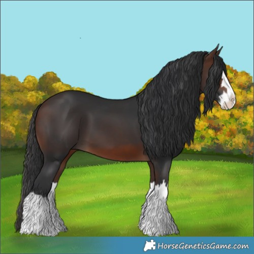 Horse Color:Brown Splash 
