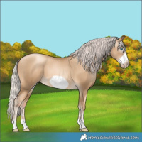 Horse Color:Gray Silver Amber Cream Champagne Pearl Frame 