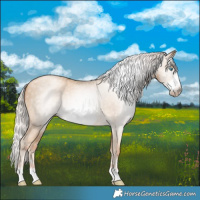 Horse Color:Gray Silver Amber Cream Champagne Pearl Frame 