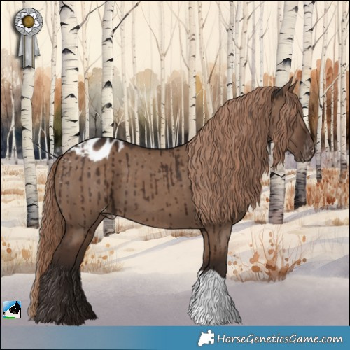 Horse Color:Liver Red Dun Appaloosa Brindle 